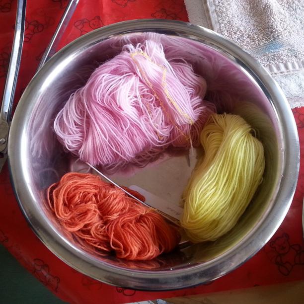 Yarn Dyeing Workshop